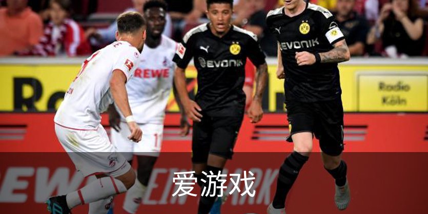 爱游戏介绍